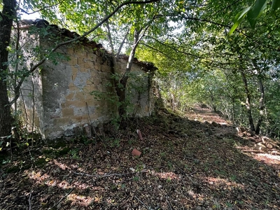 Terreno con giardino a Sorano