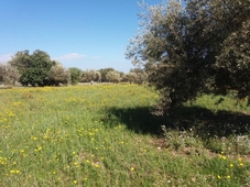 Terreno Residenziale in vendita a Pozzallo contrada Palamentano