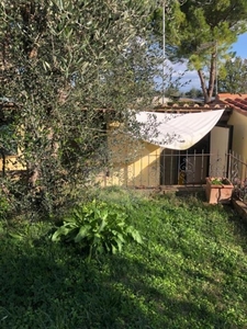 Appartamento in Via corsano grotti, Monteroni d'Arbia, 6 locali