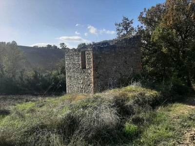 rustico / casale in vendita a Baschi