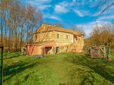 Casa / Villa - Colonica singola a Agugliano