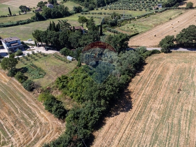 Terreno agricolo in vendita a Fratta Todina