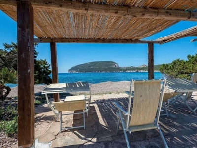 Prestigiosa villa di 200 mq in vendita Porto Conte, Alghero, Sardegna