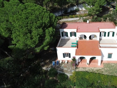 Esclusiva villa di 330 mq in vendita Campo nell'Elba, Toscana