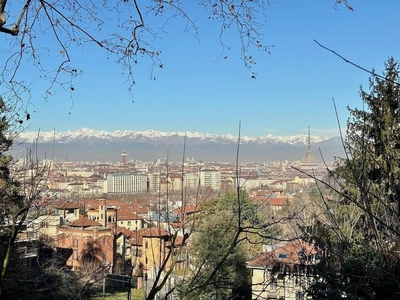 Esclusiva villa in vendita Viale Marco Porzio Catone, Torino, Provincia di Torino, Piemonte