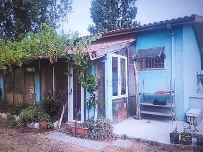Magazzino in Vendita a Grosseto, zona Località Pingrossino - Marina di Grosseto, 150'000€, 44 + 16 veranda chiusa, arredato