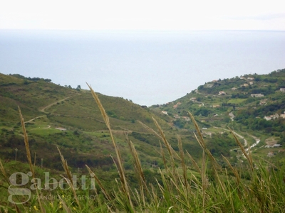 Terreno Agricolo in vendita a Pollica