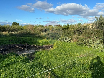 Vendita Terreno