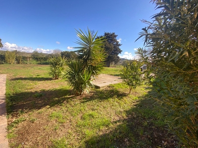 Quadrilocale con giardino a Piombino