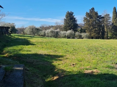 Terreno Agricolo in vendita a Terricciola