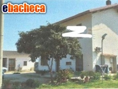 Azienda Agricola in..