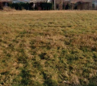 terreno agricolo in vendita a Montebelluna