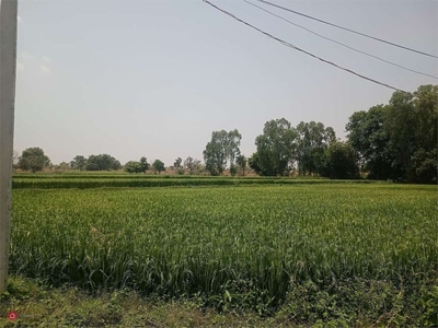 Terreno agricolo in Vendita in a Buttapietra