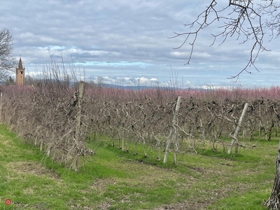 Terreno agricolo in Vendita in a Ronco all'Adige