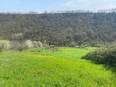 Terreno Agricolo in vendita in miano, Medesano