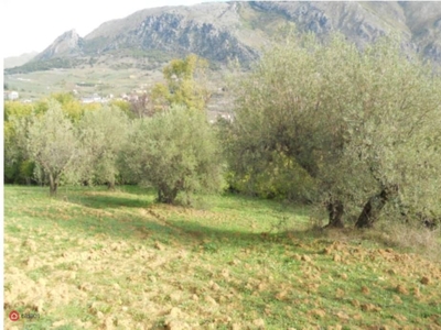 Terreno edificabile in Vendita in Strada Provinciale 6 a Ventimiglia di Sicilia