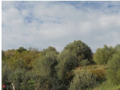 Terreno edificabile in Vendita in Strada Statale 285 a Caccamo