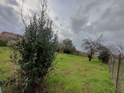 Terreno edificabile in Vendita in Via Borghesiana a Roma