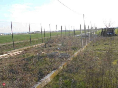 Terreno edificabile in Vendita in Via dell' Agricoltura 3 a Albaredo d'Adige