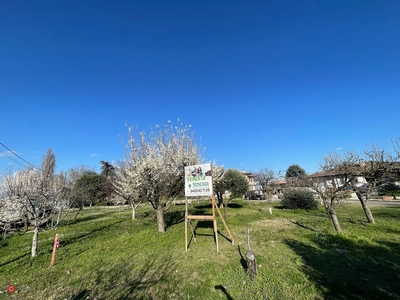 Terreno edificabile in Vendita in Via delle Fontanelle a San Bonifacio