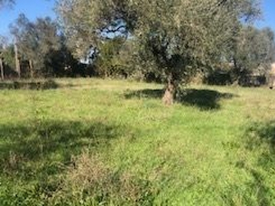 Terreno edificabile in Vendita in Via Lanfranco di Pavia a Roma