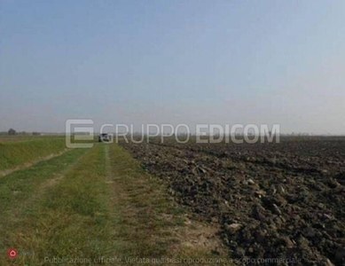 Terreno edificabile in Vendita in Via Quarto a Cerea