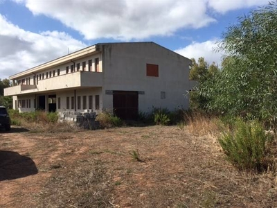 Azienda Agricola in vendita a Alghero