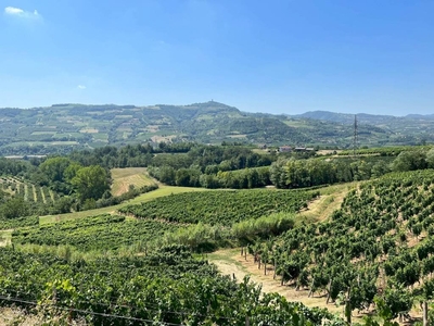 Cessole, casale in posizione dominante con terreno