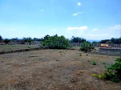 Terreno Agricolo in vendita a Castrignano del Capo