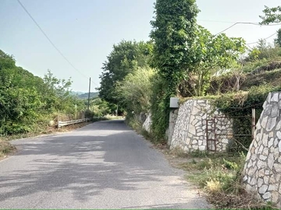 Terreno Agricolo in vendita a Condrò