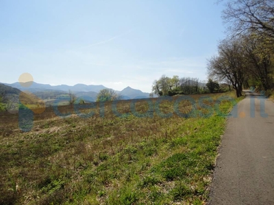 Terreno agricolo in vendita a Mergo