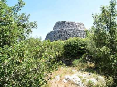 Terreno Agricolo in vendita a Morciano di Leuca