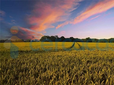 Terreno agricolo in vendita a Motta Di Livenza