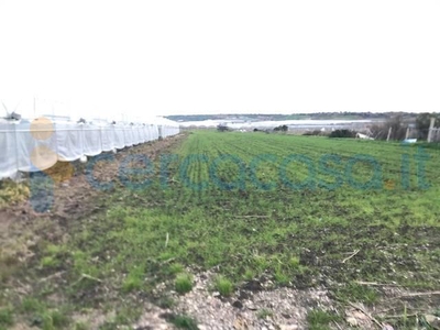 Terreno agricolo in vendita a Pachino