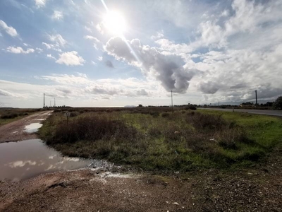 Terreno Agricolo in vendita a Settimo San Pietro