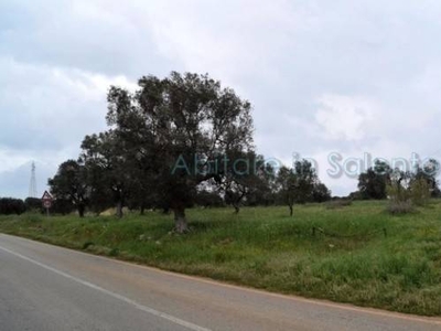 Terreno Agricolo in vendita a Specchia