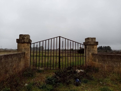 Terreno Agricolo in vendita a Spongano