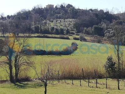 Terreno agricolo in vendita in Via Serpara, Caiazzo