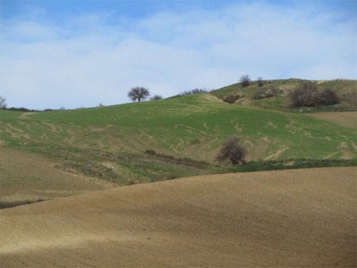 Terreno agricolo seminativo