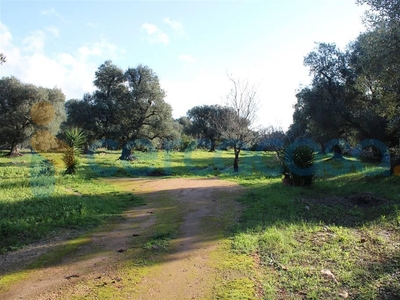 Terreno edificabile in vendita a Carovigno