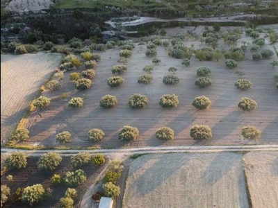 Vendita Terreno agricolo, in zona MODICA ALTA, MODICA