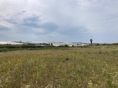 Vendita Terreno agricolo, PACHINO