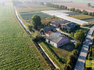Azienda Agricola in vendita a Oppeano via Pozze