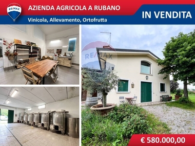 Azienda Agricola in vendita a Rubano