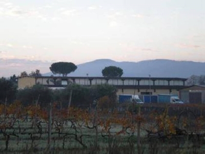 Capannone Industriale in vendita a Zagarolo via Santa Apollaria ,Snc