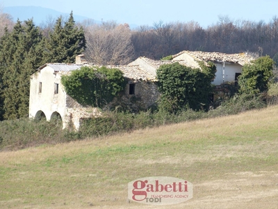 Rustico con giardino a Massa Martana