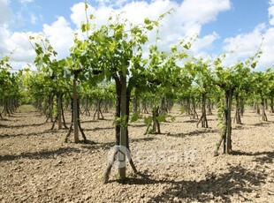 Rustico/Casale in Vendita in Via De Riccardi 3 a Chianni