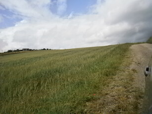 Terreno Agricolo in vendita a Campolattaro