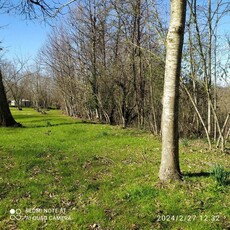 Terreno Agricolo in vendita a Montefredane