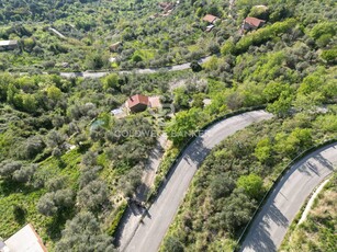 Terreno Agricolo in vendita a Perdifumo